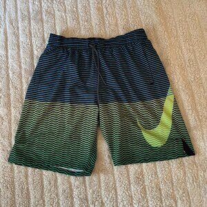 Nike Men's Horizon Stripe Vital 9 Inch Volley  Swim Shorts - Size Large.